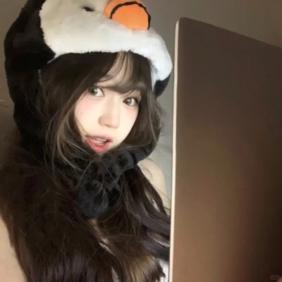 蛊惑狗寻宝